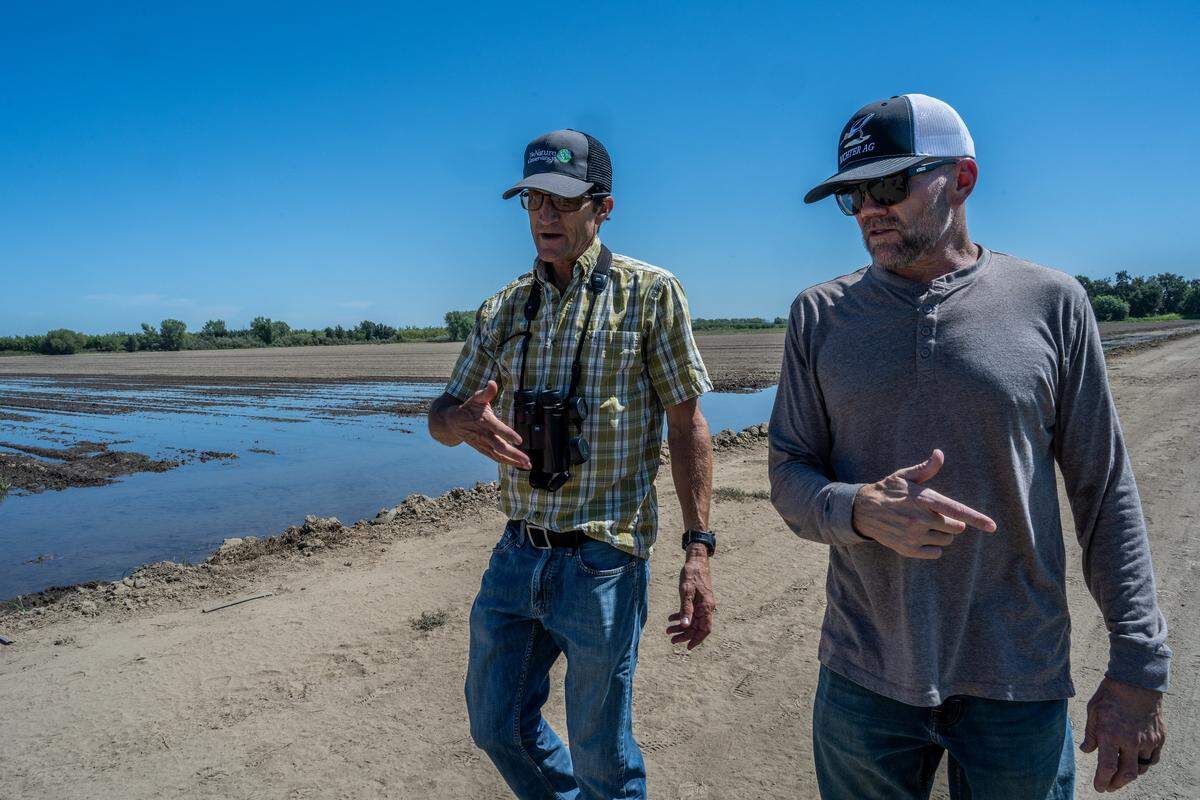 Kurt Richter, right, a farmer at Butte Creek Farms, chats with Greg Golet of The Nature Conservancy on Aug. 15, as they survey the water level of a field being flooded to restore a habitat for migratory birds. Richter began participating in the BirdReturns program in 2014.