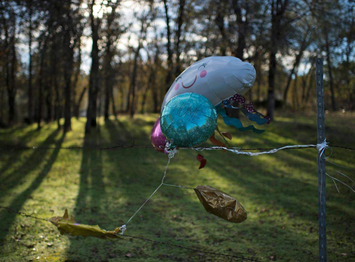 Balloons with the words “Bring Sherri Home” blow in the breeze in November 2016 on Sunrise Drive, near the location where the mom of two was believed to have gone missing.