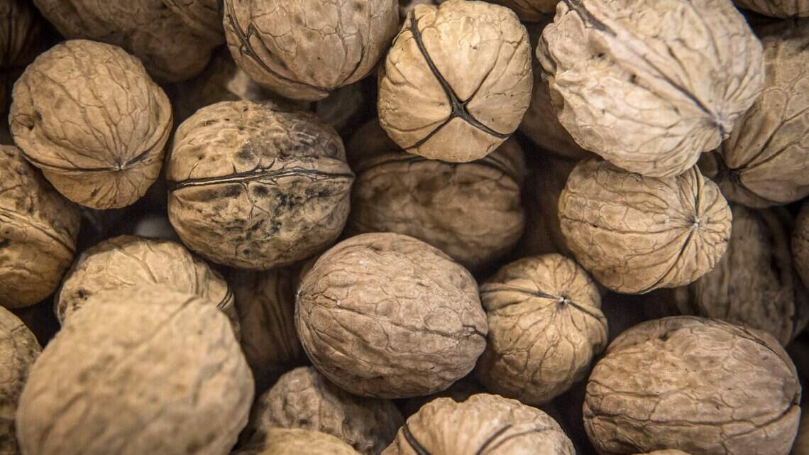 Who’s stealing walnuts? Nut theft rises in Yuba-Sutter, along with prices