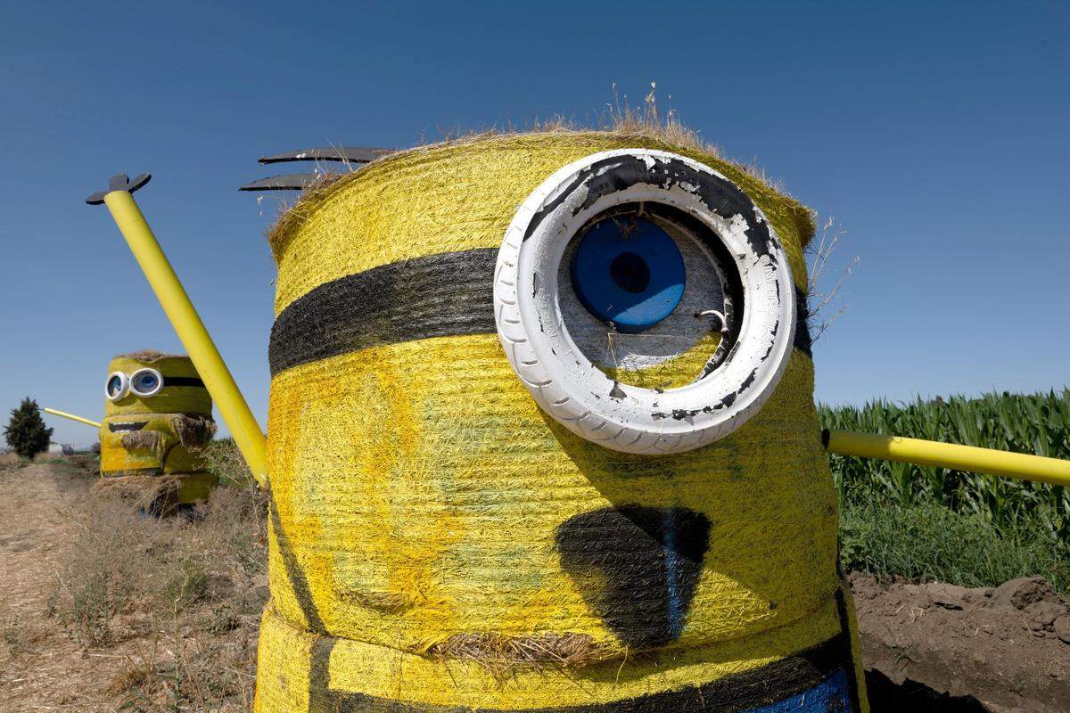 The Minions created by Juan Ramirez, of Dixon can be seen waving at motorist aloha Interstate 80 on Sept. 4. The Minions are made out of found objects from the farm.