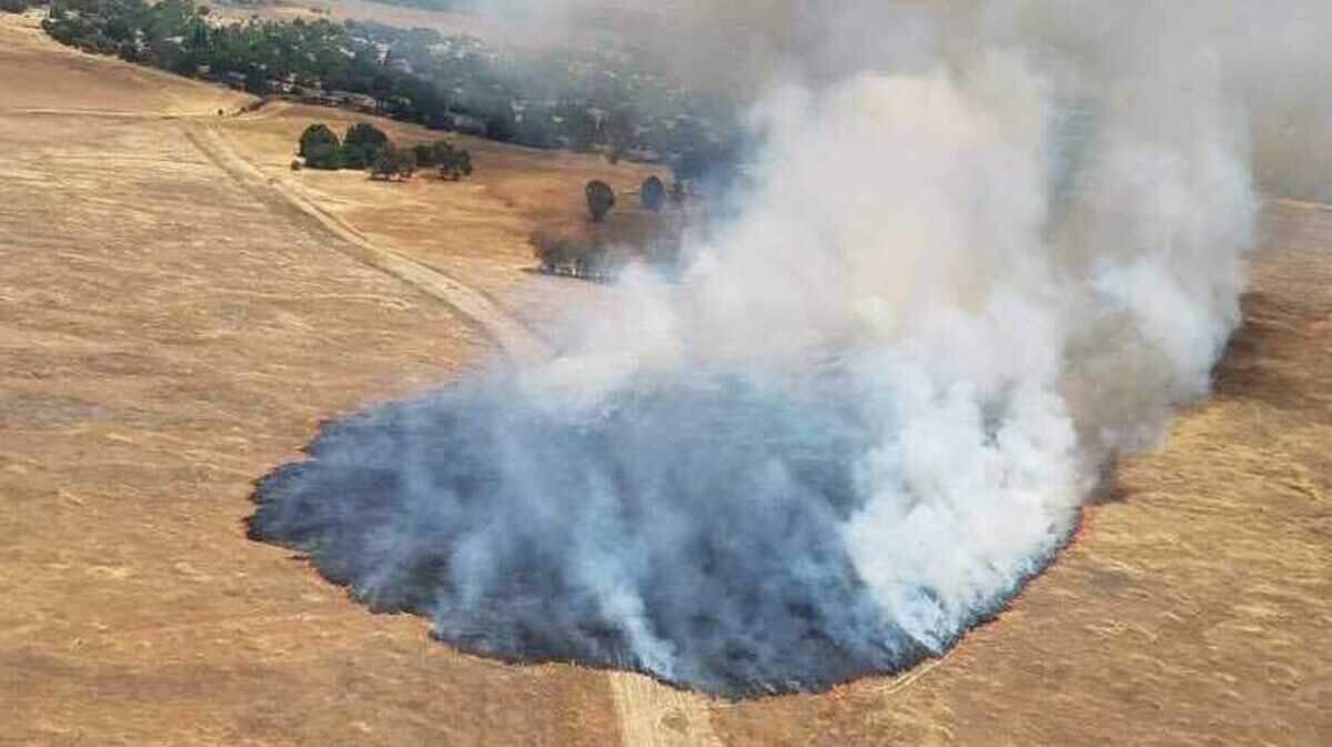Firefighters on Monday May 24, 2021, were working to corral a grass fire just south of Mather Airport near Westerly Drive and Excelsior Road, which forced the evacuation of some nearby homes.
