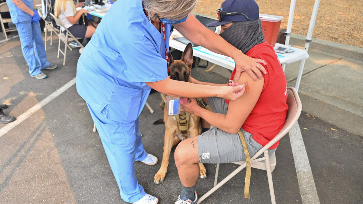 La enfermera de salud pública Debra Lyon aplica una vacuna contra el COVID-19 de Johnson & Johnson a Roger Estrada, acompañado por su pastor alemán de siete meses Knight, durante un evento de vacunación patrocinado por el supervisor del Condado Sacramento Rich Desmond en el Strizek Park en North Highlands, el domingo 15 de agosto de 2021. Estrada dijo que iba a poner su estampa de vacunación en su casco para que sus compañeros de trabajo pudieran verla.