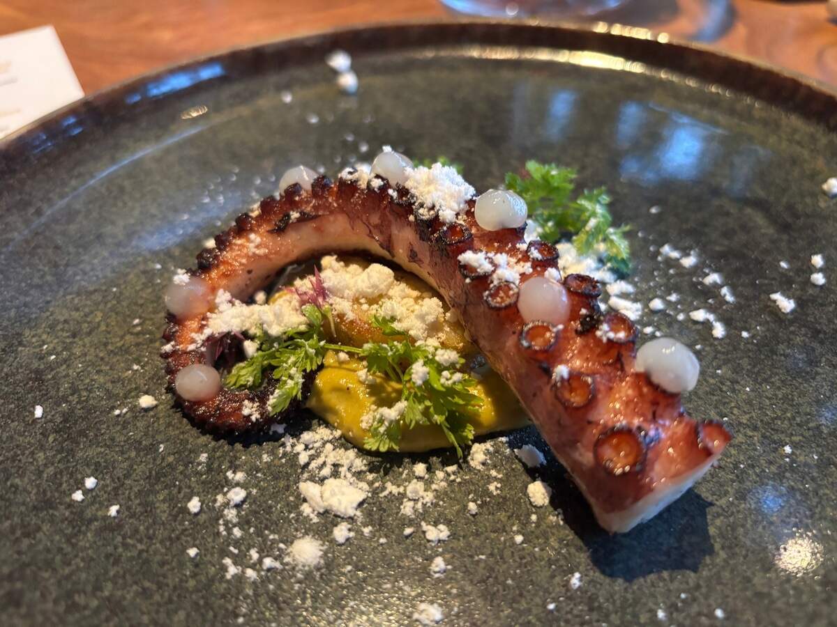 “The Dish that Made Us” is the sixth course on the Localis staff’s autobiographical menu. It features fire roasted octopus, piccata polenta, a green piccata soubise, lemon powder and herb garnish.