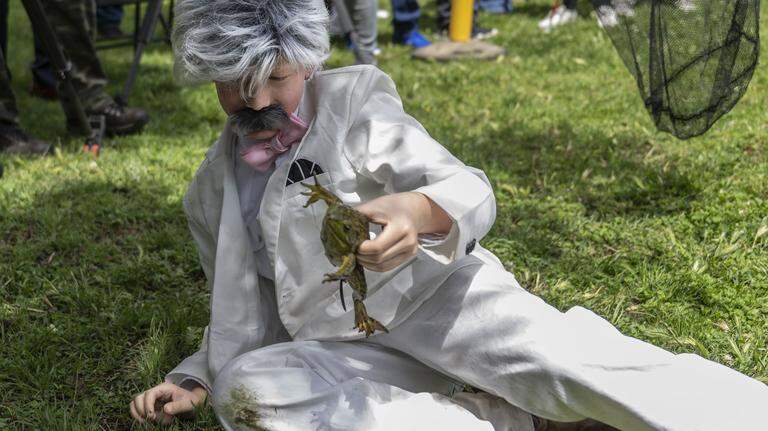 Big leaps at the state Capitol this week came through frogs, not lawmakers