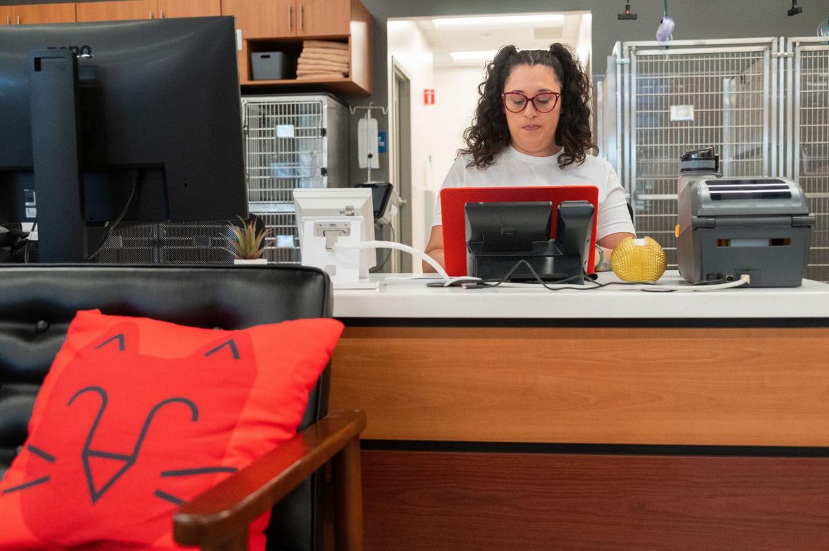 Cyleste Riego, an emergency veterinary nurse, works on her computer following the Veterinary Emergency Group grand opening in Elk Grove on Wednesday, Aug. 7, 2024. Riego, who previously worked in academia, said she is ready to “get back to the chaos” of emergency medicine.