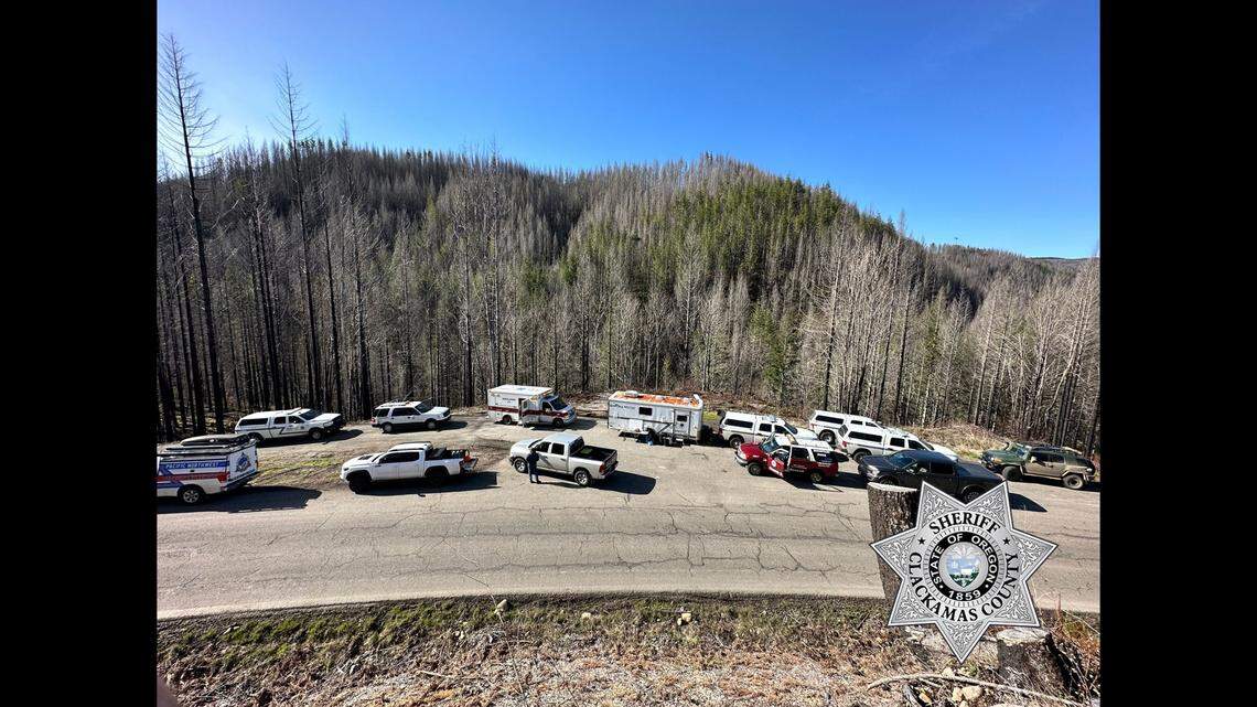 A man went missing while searching for shed antlers in the woods, according to an Oregon sheriff. 