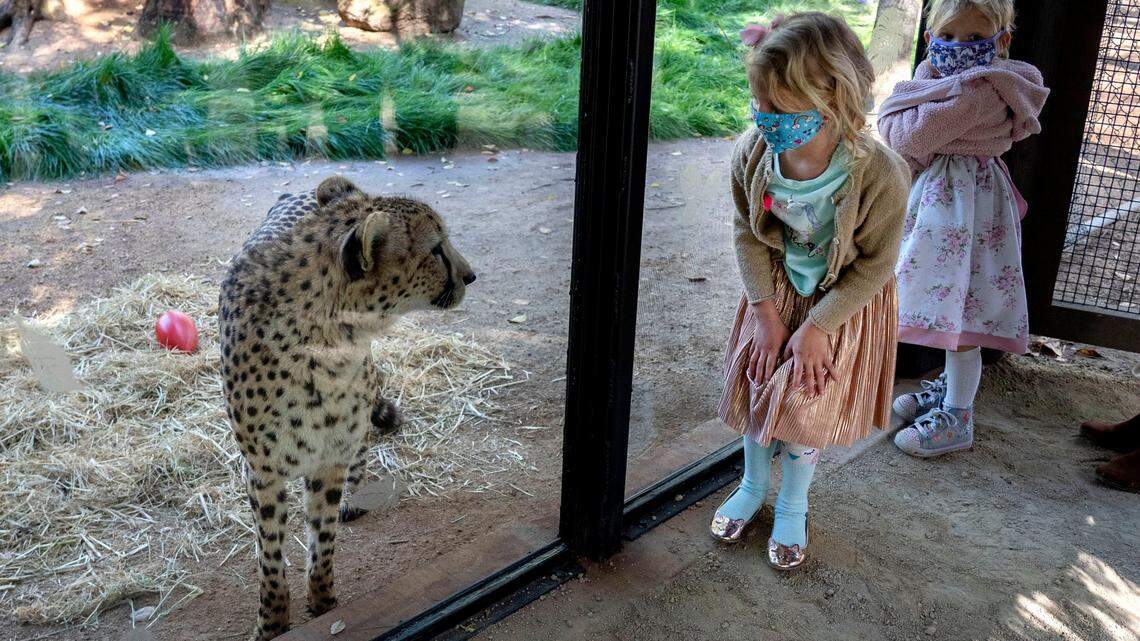 Sacramento is debating what to do with its beloved zoo. We have an answer.