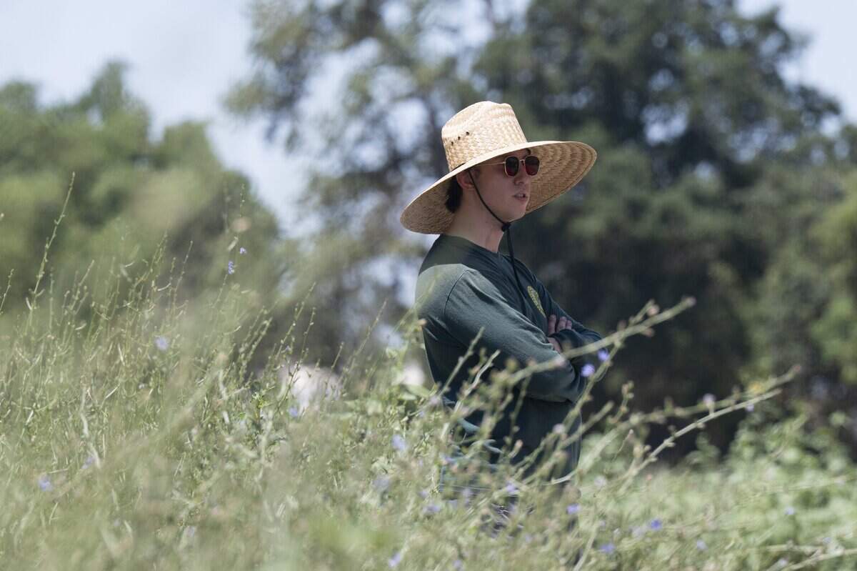 Zach Skalak, a natural resource specialist with Sacramento County Regional Parks, watches a prescribed burn near Dry Creek between 16th and 18th street in Rio Linda on Tuesday.