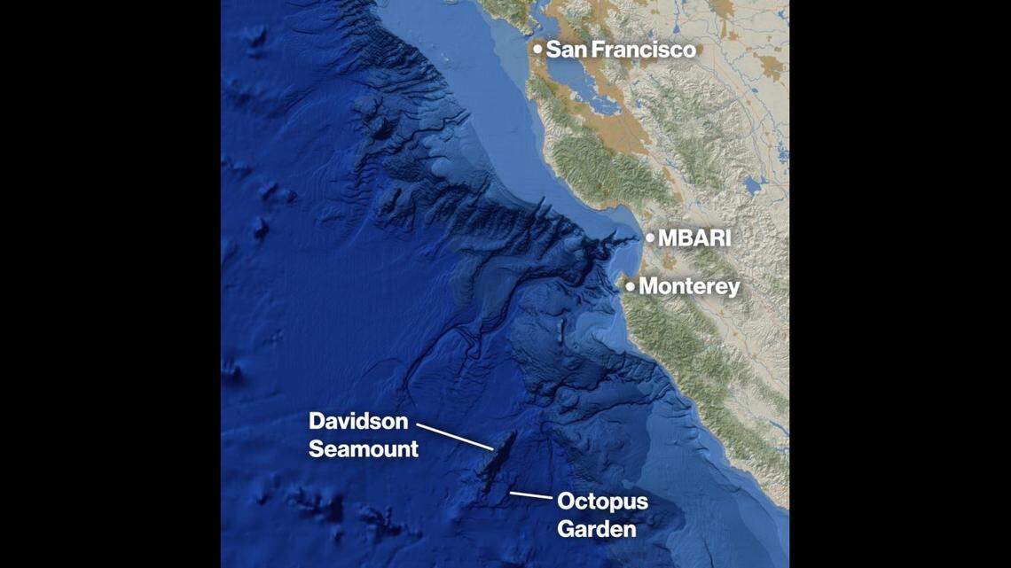 A map of Davidson Seamount, which is about 80 miles southwest of Monterey, California. The “octopus garden” is about 2 miles below the ocean’s surface.
