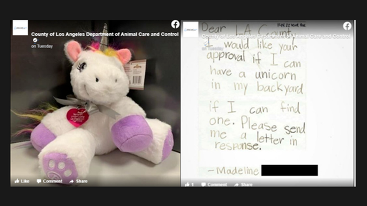 A young girl sent a handwritten letter to Los Angeles County officials seeking approval to keep the magical creature at her home should she find one.