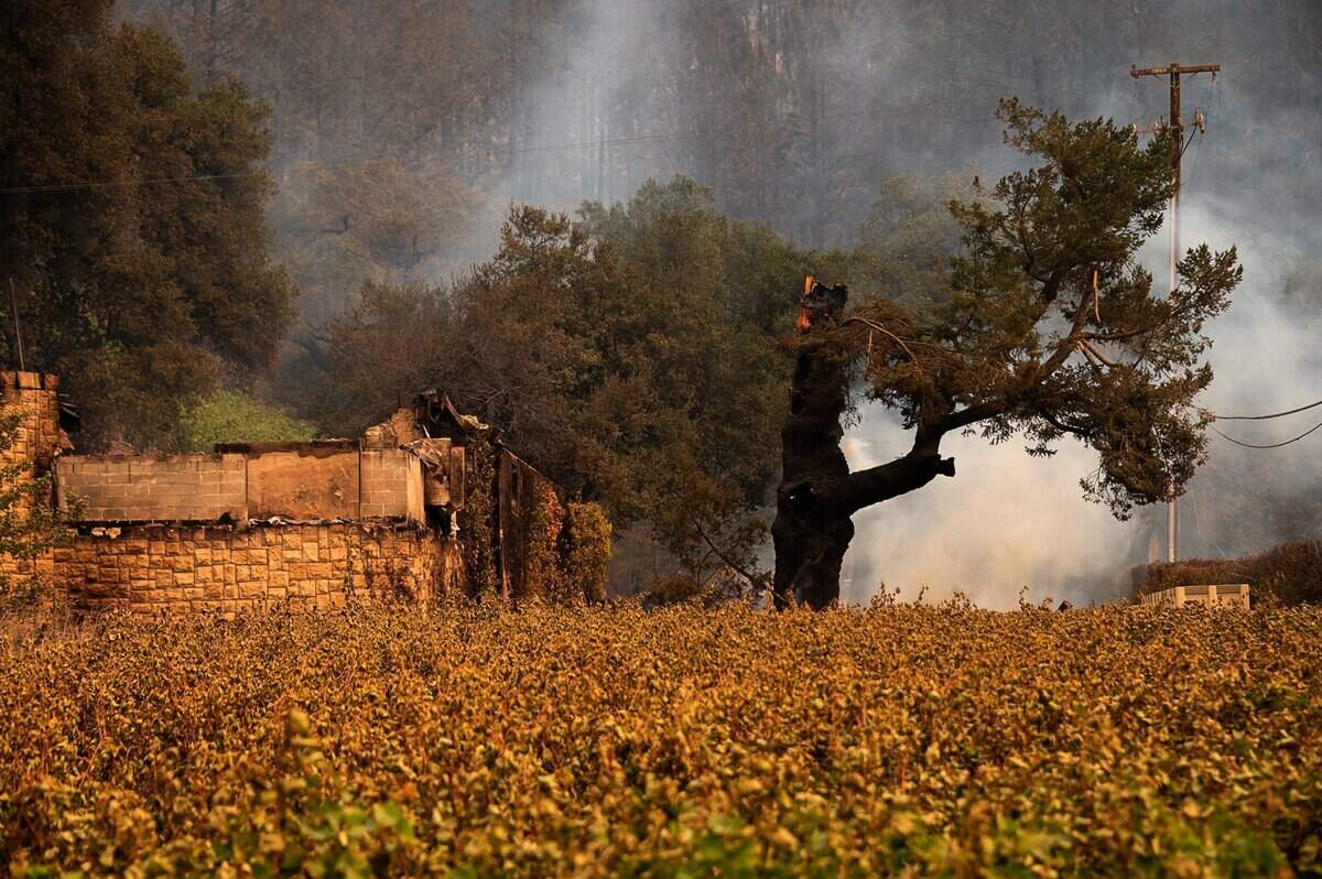 Chateau Boswell was destroyed during the Glass Fire in Napa County on Monday, Sept. 28, 2020 in St. Helena.