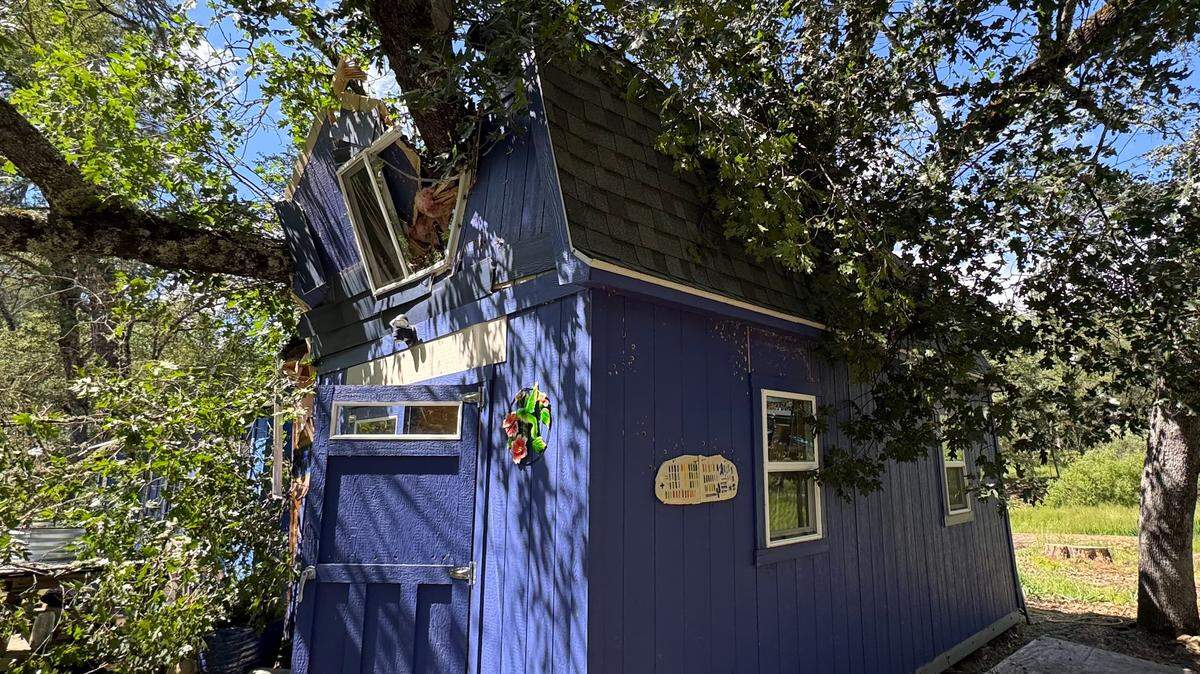 A tree lies atop the Colfax-area studio of artist Stan Padilla after it fell on Sunday.