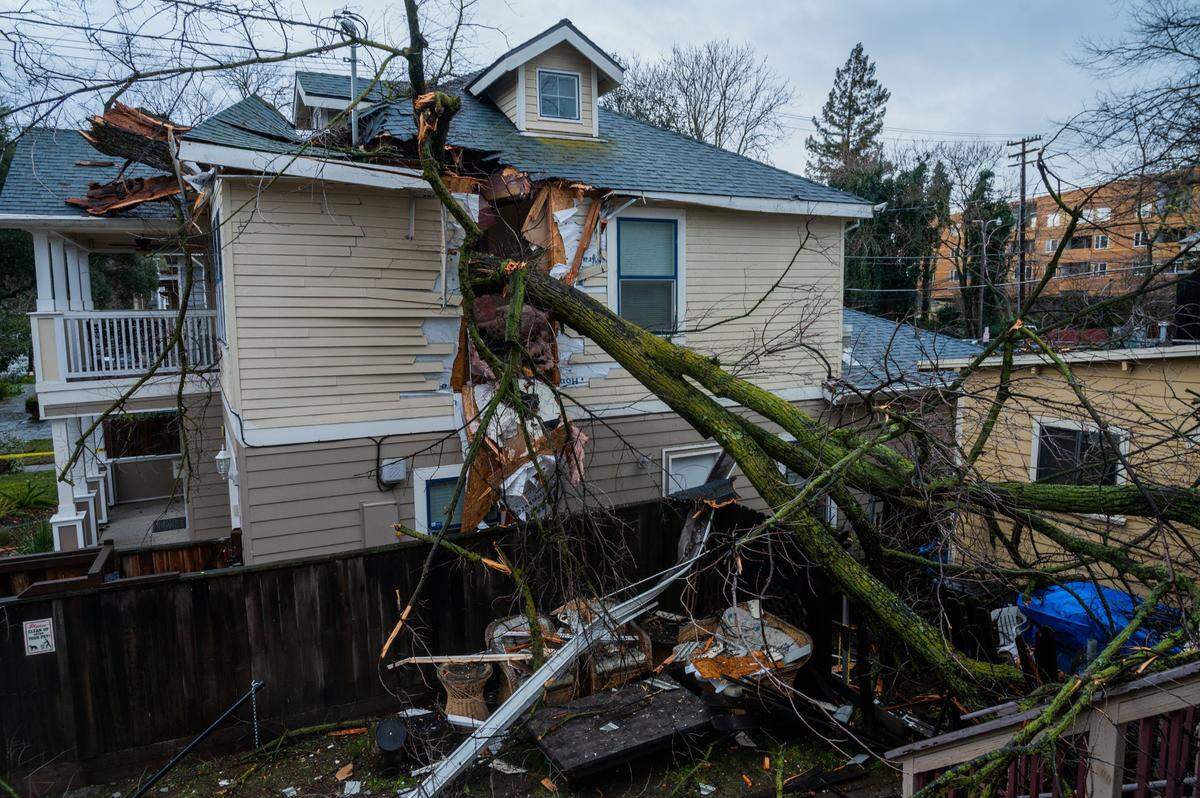 A fallen tree pierced through a home near 13th and D streets in Sacramento’s Alkali Flat neighborhood on Wednesday, Jan. 27, 2021, after a storm with severe wind gusts came through the area overnight.