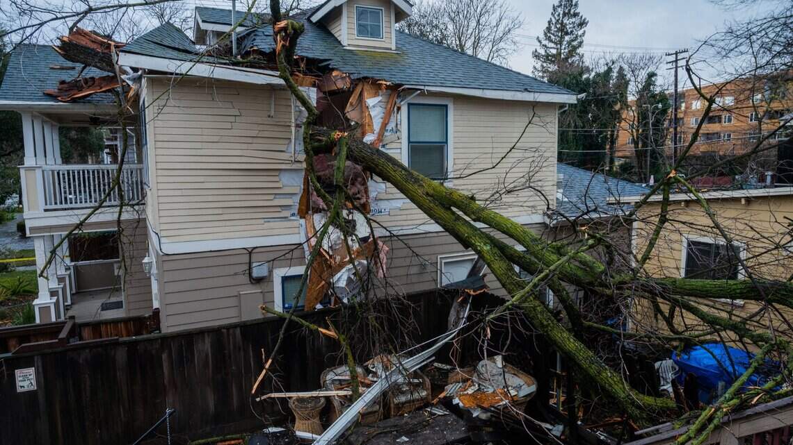 Your neighbor’s tree is dropping branches in your yard. Can you take legal action?