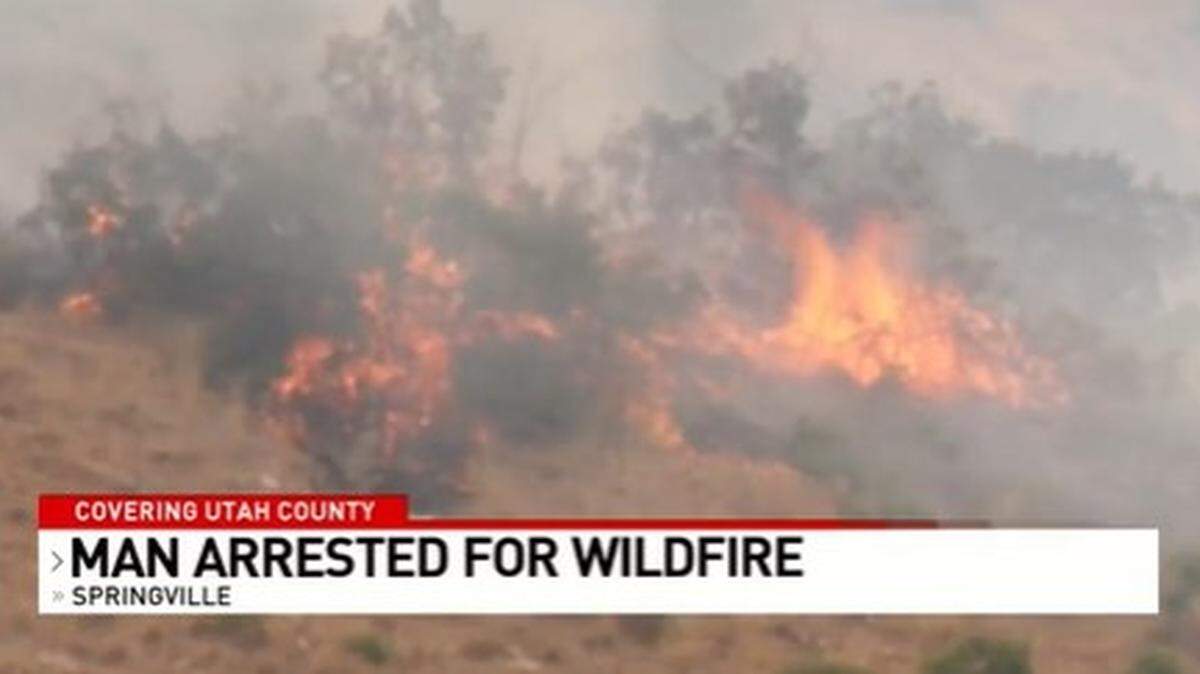 A man who tried to kill a spider with a lighter ignited a 60-acre wildfire near Springville that was later doused by rain, Utah officials say.