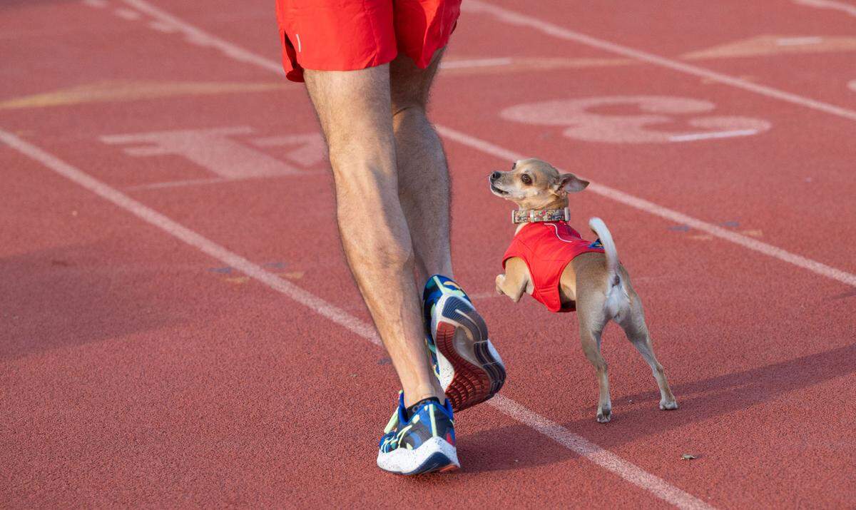 Andrew Owens runs with Jellybean on Dec. 10 on the track at UC Davis where they train every week.