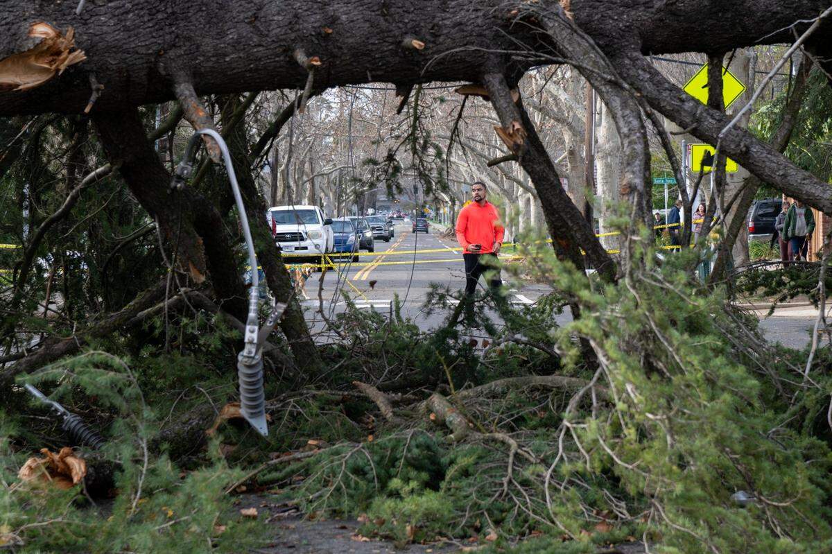 Residents in East Sacramento view trees blocking H Street near 36th Street on Sunday after a big storm came through Saturday night.