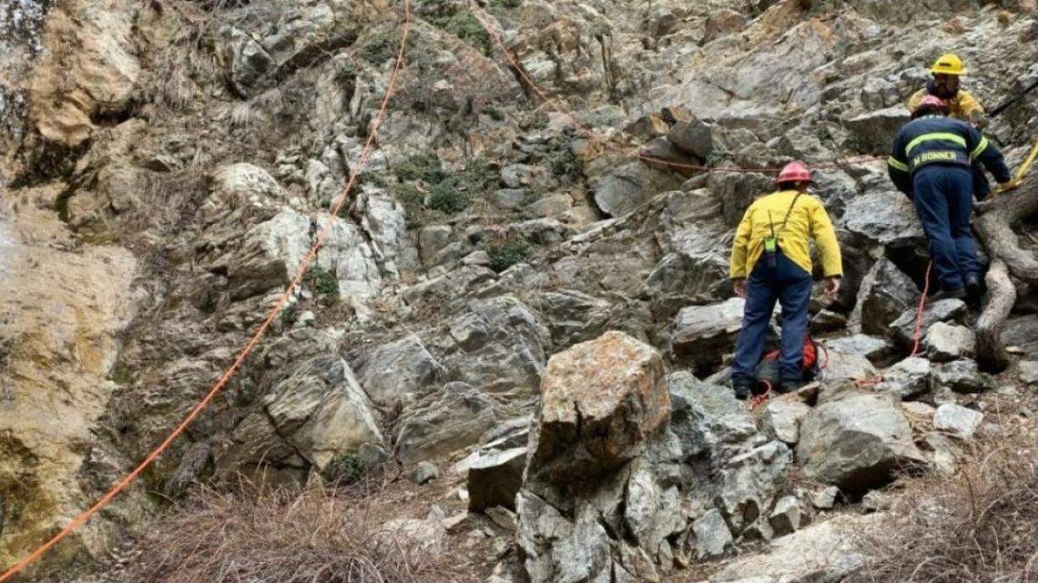 A hiker died after falling 10 feet from a waterfall on a California trail, according to a fire department.