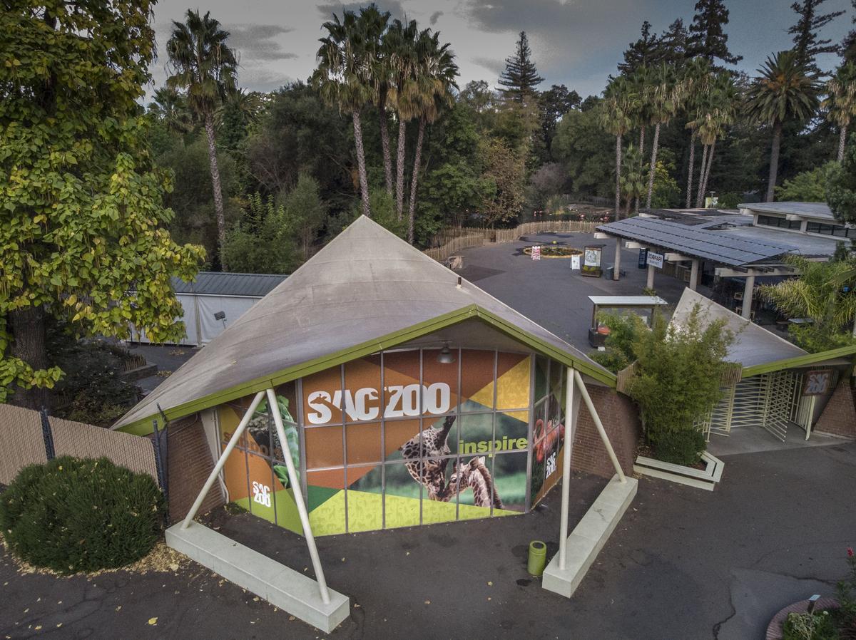 Jason Jacobs, new director of the Sacramento Zoo, has a new vision for the Land Park institution. He wants to find land and money to move the zoo to a more expansive location somewhere else in the city, and bring back large animals such as rhinos and tigers. The zoo’s accreditation is in jeopardy because of its outdated exhibits. This is an aerial view on Tuesday, October 2, 2018.