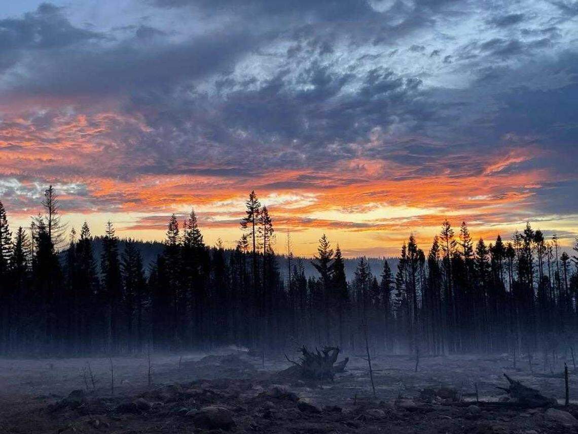 A photograph taken at sunrise Thursday Aug. 8, 2024, showed the charred land burned by the Park Fire near the community of Mill Creek in Tehama County, California.