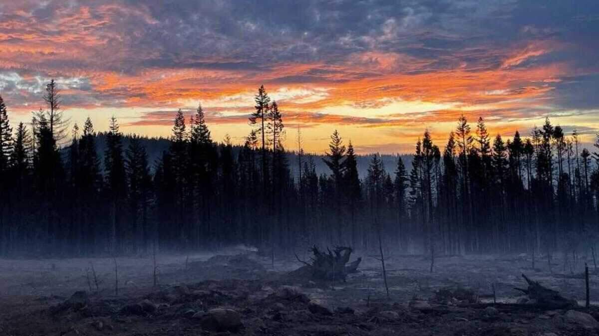 A photograph taken at sunrise Thursday Aug. 8, 2024, showed the charred land burned by the Park Fire near the community of Mill Creek in Tehama County, California.