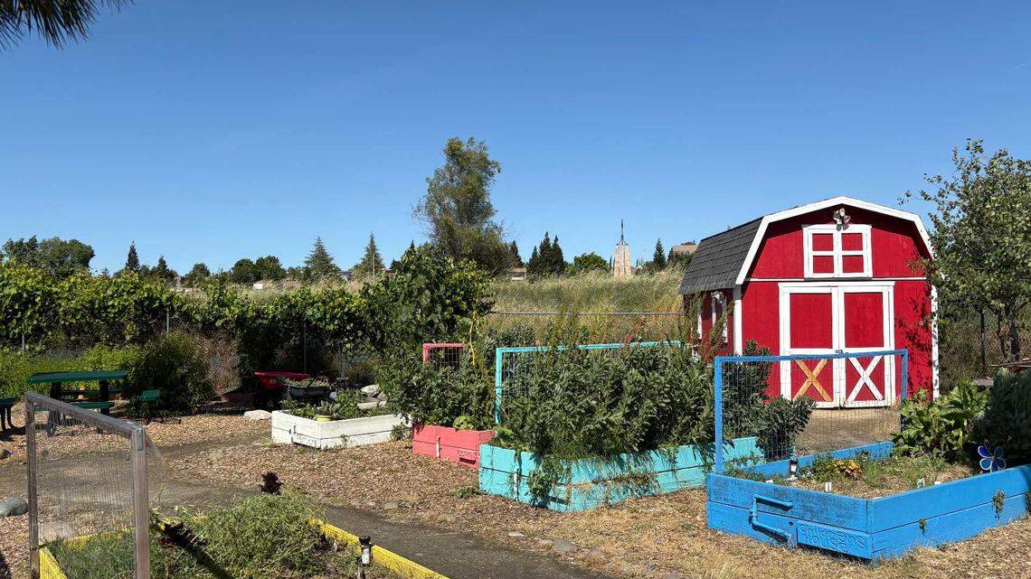 A community garden, co-owned by St. Augustine of Canterbury Episcopal Church and Maria Montessori Charter Academy, might go away soon due to an affordable proposed 118-unit housing development.