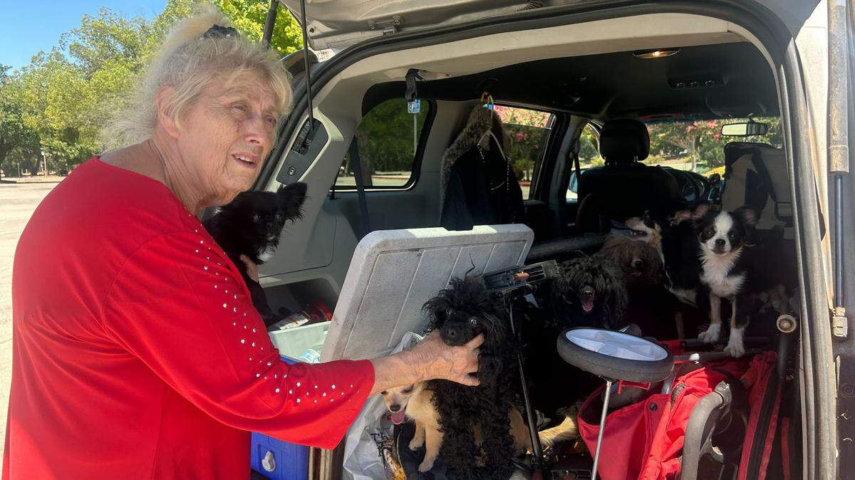 Woman evacuates home threatened by Park Fire with her 12 dogs. ‘Who cares about the rest?’