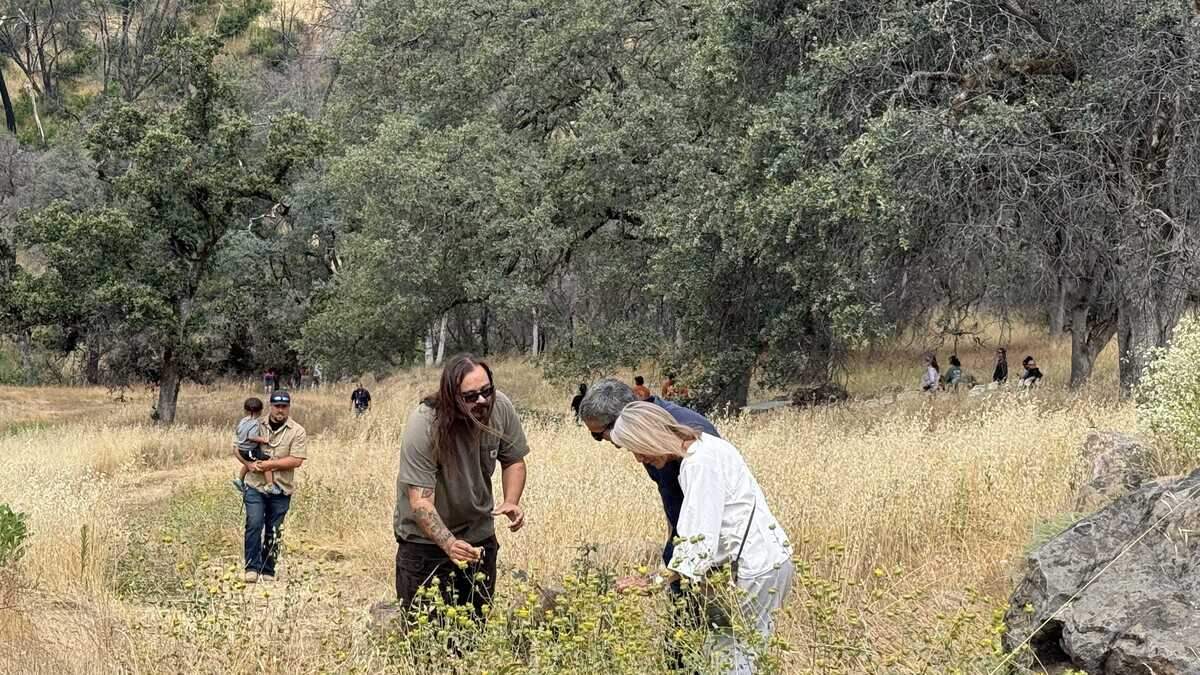 Mechoopda Tribe Treasurer He-Lo Ramirez, alongside California Natural Resources Agency Secretary Wade Crowfoot, highlights the regrowth of native plants after the Park Fire during a land return celebration on June 8.