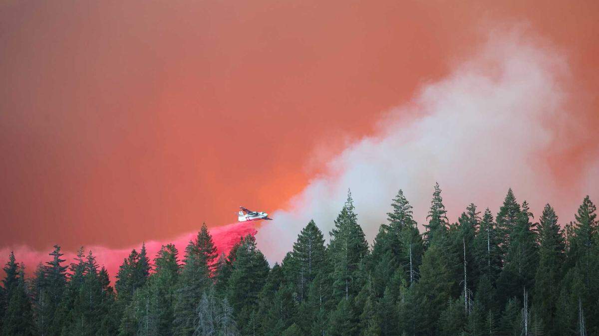 A Cal Fire plane drops fire retardant on the Park Fire which has burned in Butte and Tehama counties in Northern California.