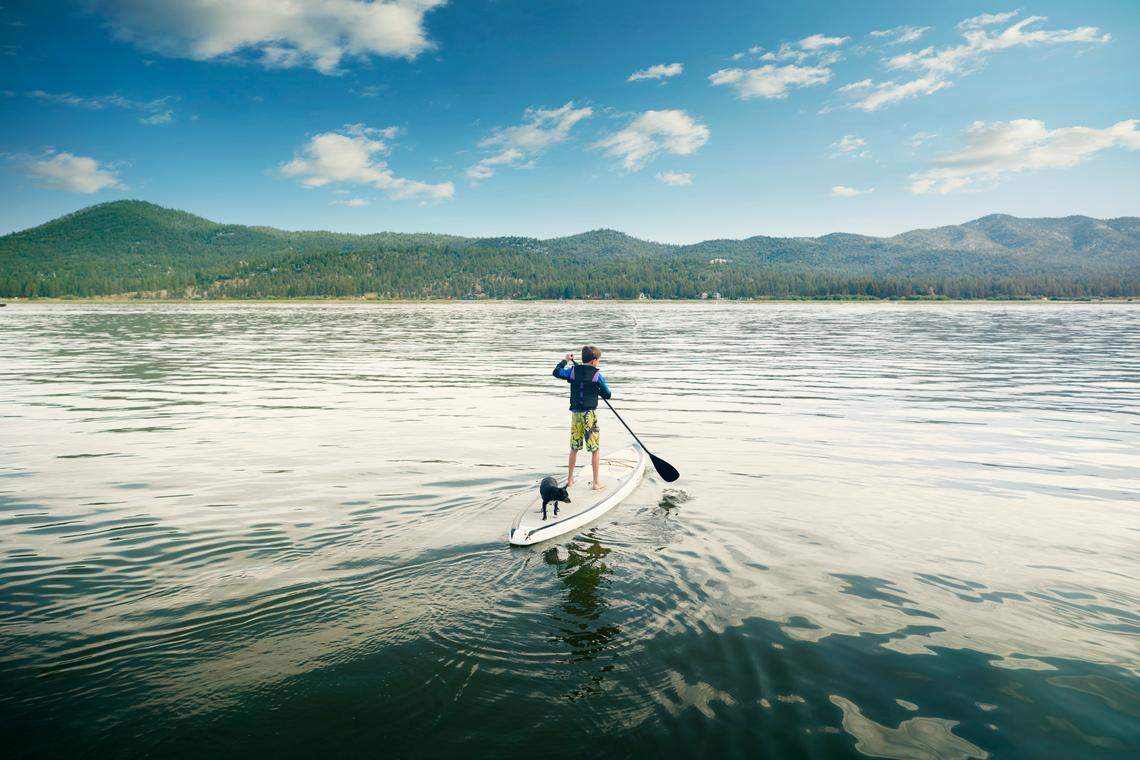 A boy wearing a life jacket stands on a stand-up paddleboard with his dog ride on the water at a lake.