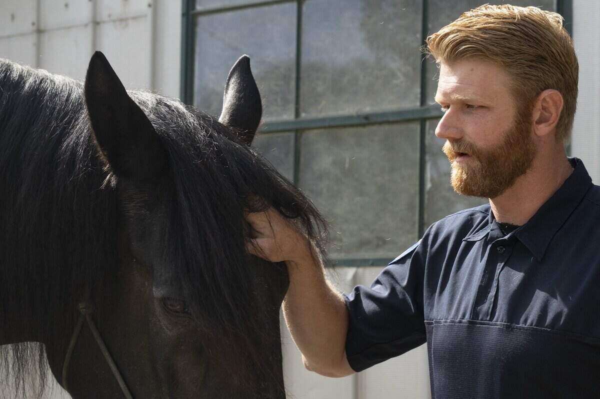 Officer Matthew Jones pets his horse Thor at the Sacramento Police Department Mounted Unit’s barn on Wednesday. The Mounted Unit was cut from the city budget, and its officers were assigned to other duties.