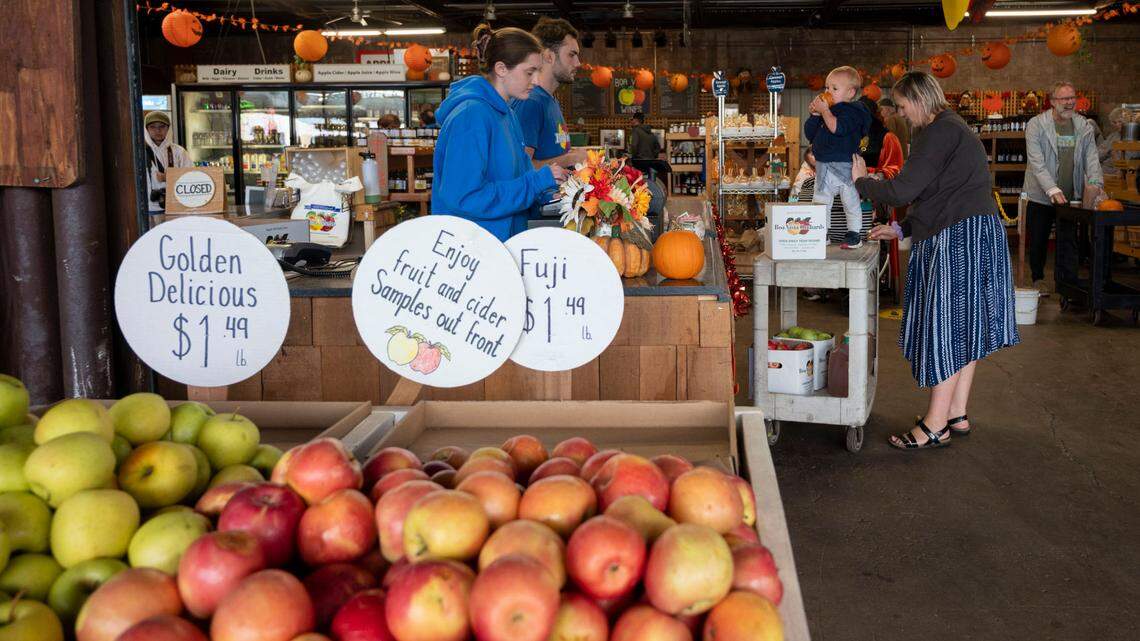 Growing crowds challenge Northern California’s Apple Hill: ‘We’re not Disneyland up here’