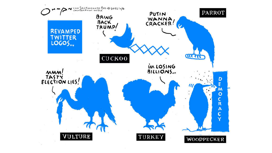 Jack Ohman: Twitter, for the birds ...