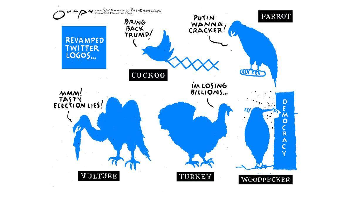 Jack Ohman: Twitter, for the birds ...