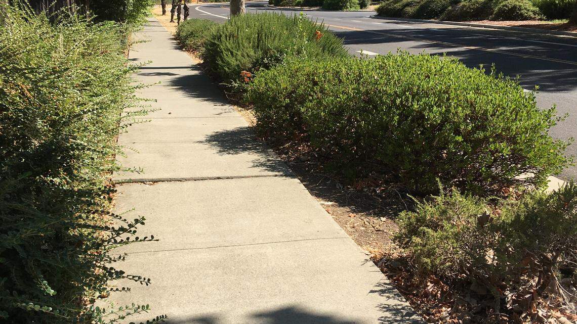 After hefty injury payouts in Davis, all Yolo County residents could feel impact