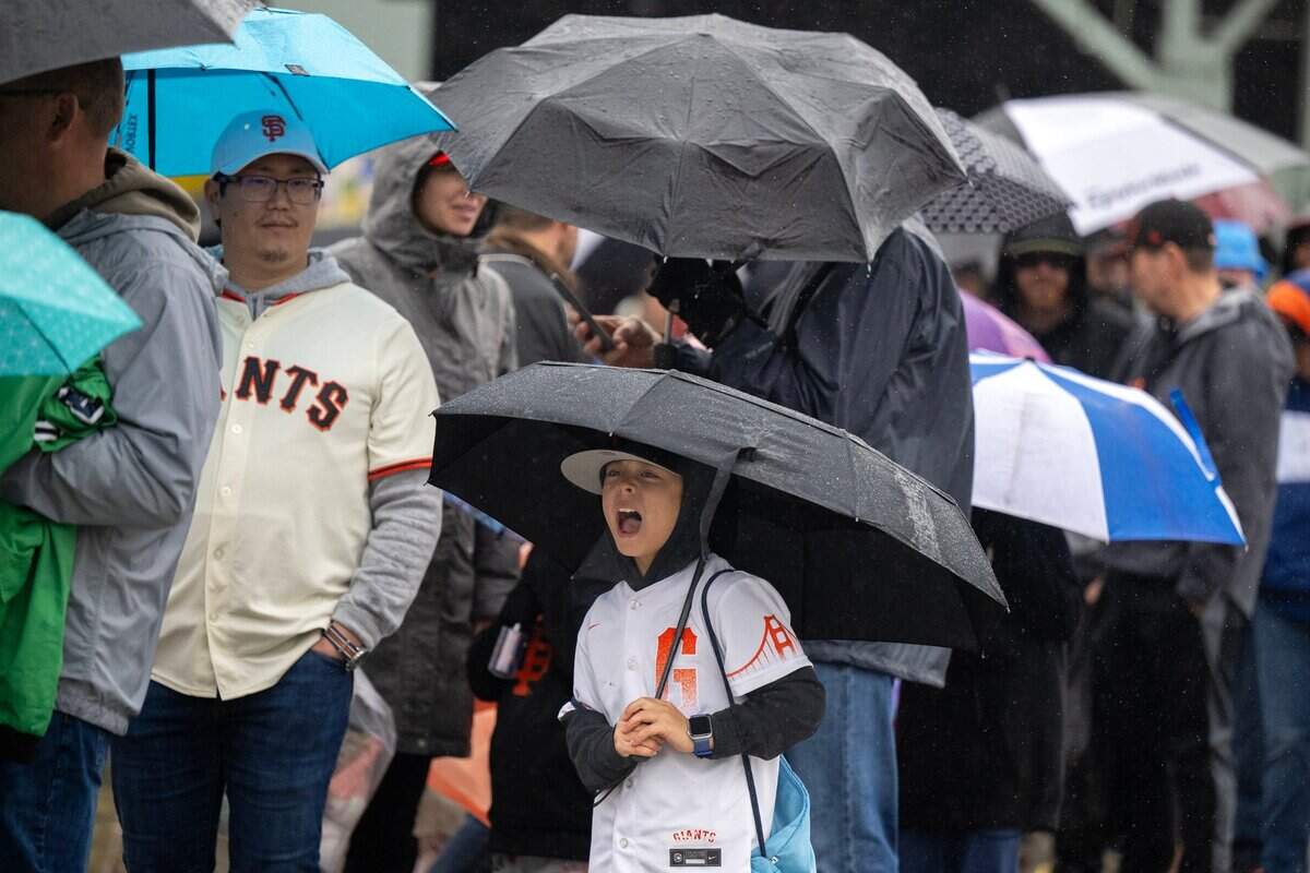 Parker Pittner, 8, of Walnut Creek catches raindrops as he shelters under an umbrella while standing in an autograph line during the San Francisco Giants Fanfest on Saturday, Feb. 1, 2025, at Sutter Health Park.