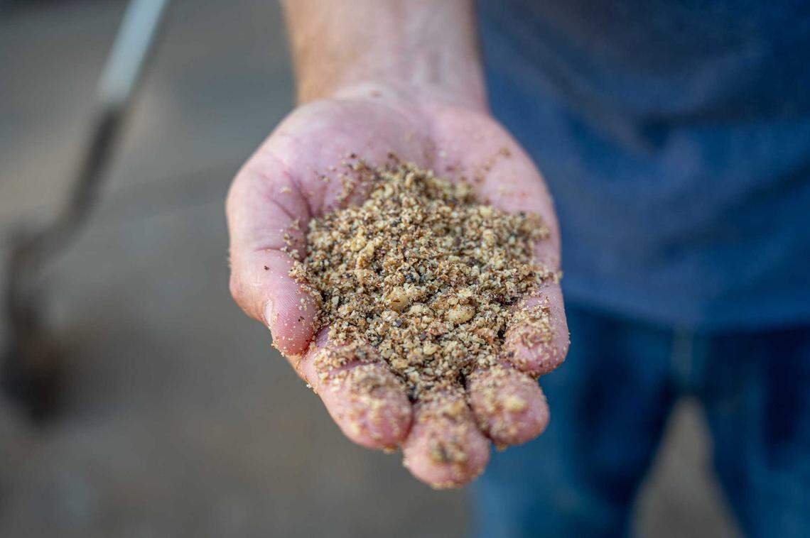 David Pringle, director of engineering, holds walnut oil stock at La Tourangelle Artisan Oil Mill in Woodland on Monday, July 7, 2025. La Tourangelle’s roasted walnut oil was named a finalist in the 2026 Good Food Awards.