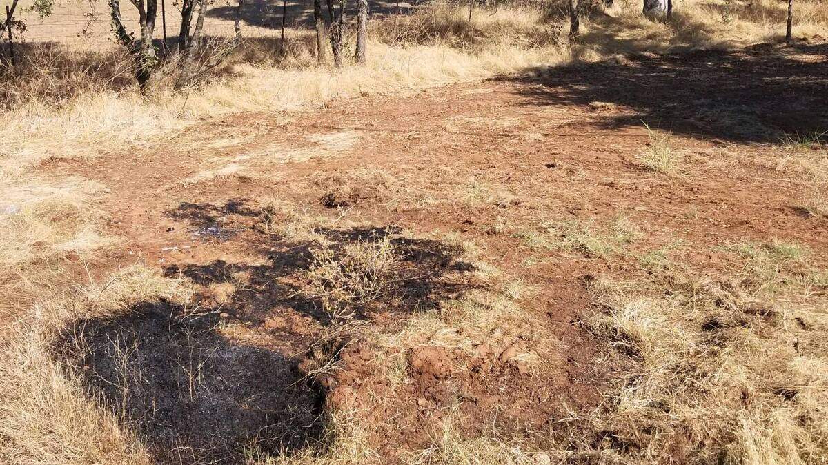 An Oroville woman was arrested on suspicion of arson Wednesday, July 7, 2019, in connection to a small grass fire along Olive Highway.