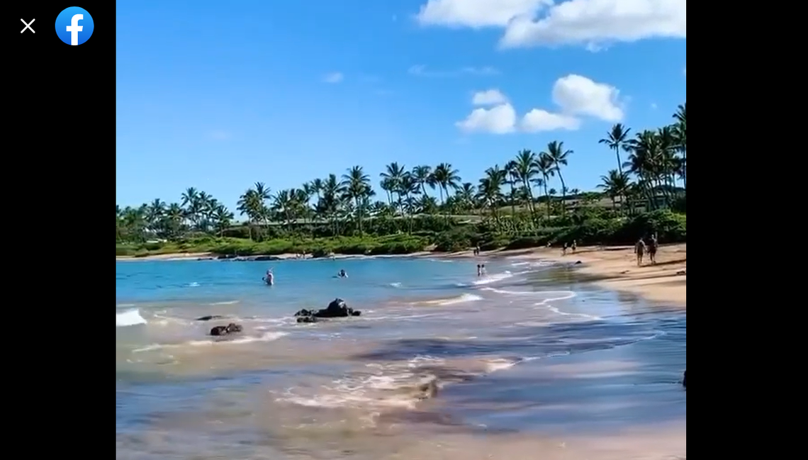 The suspected shark attack victim was last seen snorkeling off Keawakapu Point in South Maui, the Hawaii Department of Land and Natural Resources reports.