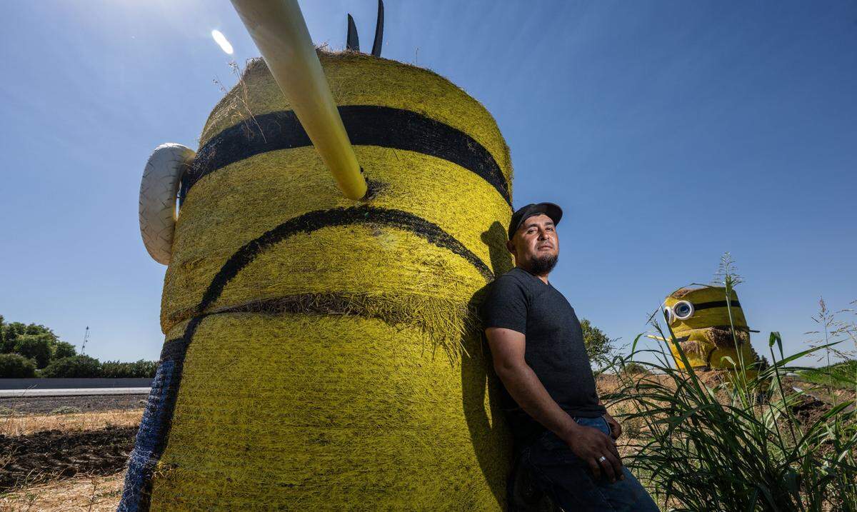 Juan Ramirez, a Dixon farmworker with Cooley Farms and its Cool Patch Pumpkins, stands by one of the Minions that he created for the pumpkin patch and maze. Ramirez said his bosses came up with the idea to move the Minions along their property on Interstate 80 to remind people to return.