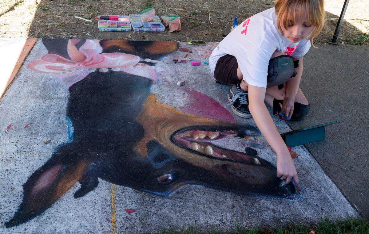 Artist Sidnee Boyd works on a mural of a doberman dog at the Chalk it Up festival on Sunday at Fremont Park.