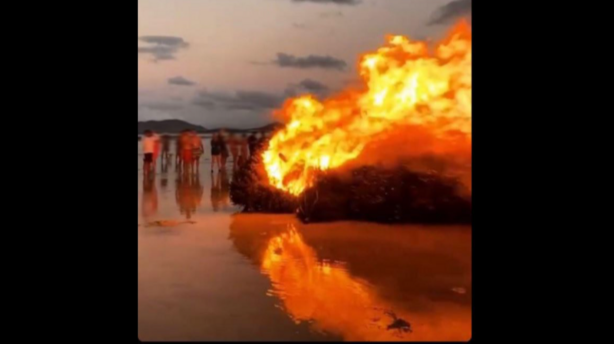 A tradition has grown in Hawaii for people to bring their Christmas trees to a poplar sandbar for giant bonfires. 