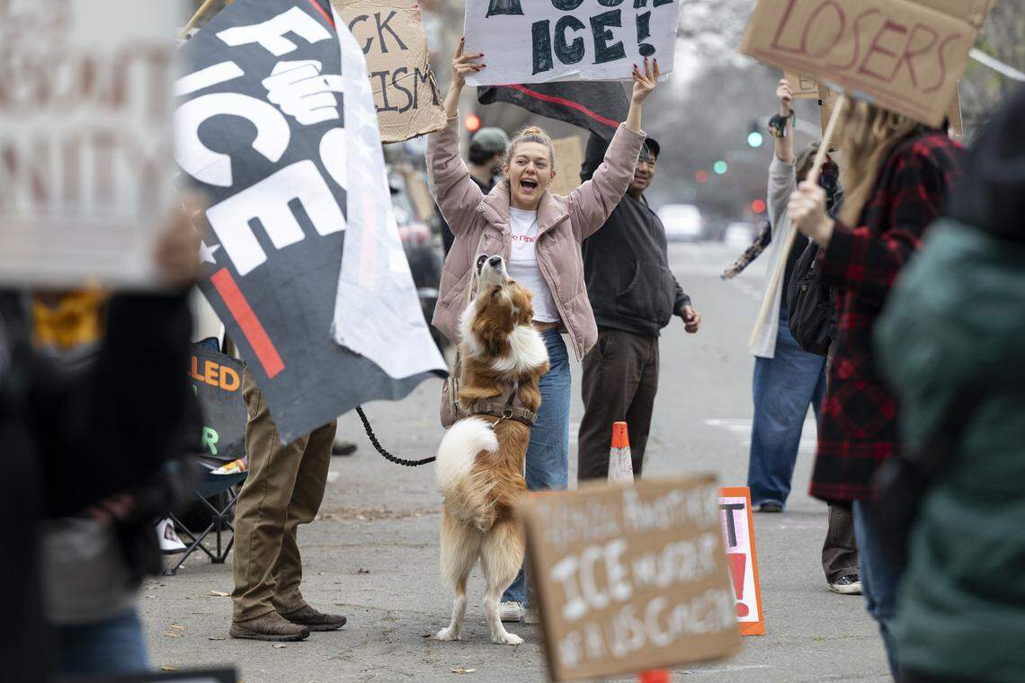 Anti-ICE protesters wave signs outside the John Moss Federal Building in Sacramento on Sunday. Protesters have been protesting outside the building on and off for months since Immigration and Customs Enforcement started detaining immigrants in the building.