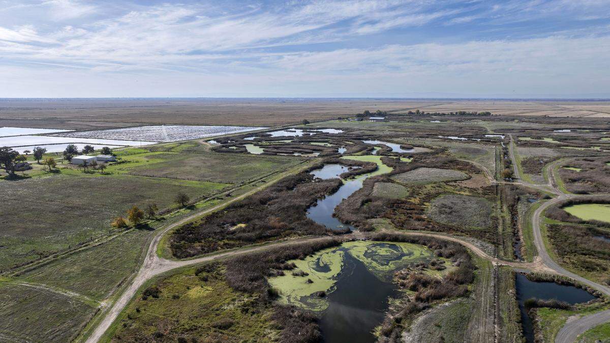 An aerial view of the Natomas Basin Conservancy’s established habitat on Nov. 10.