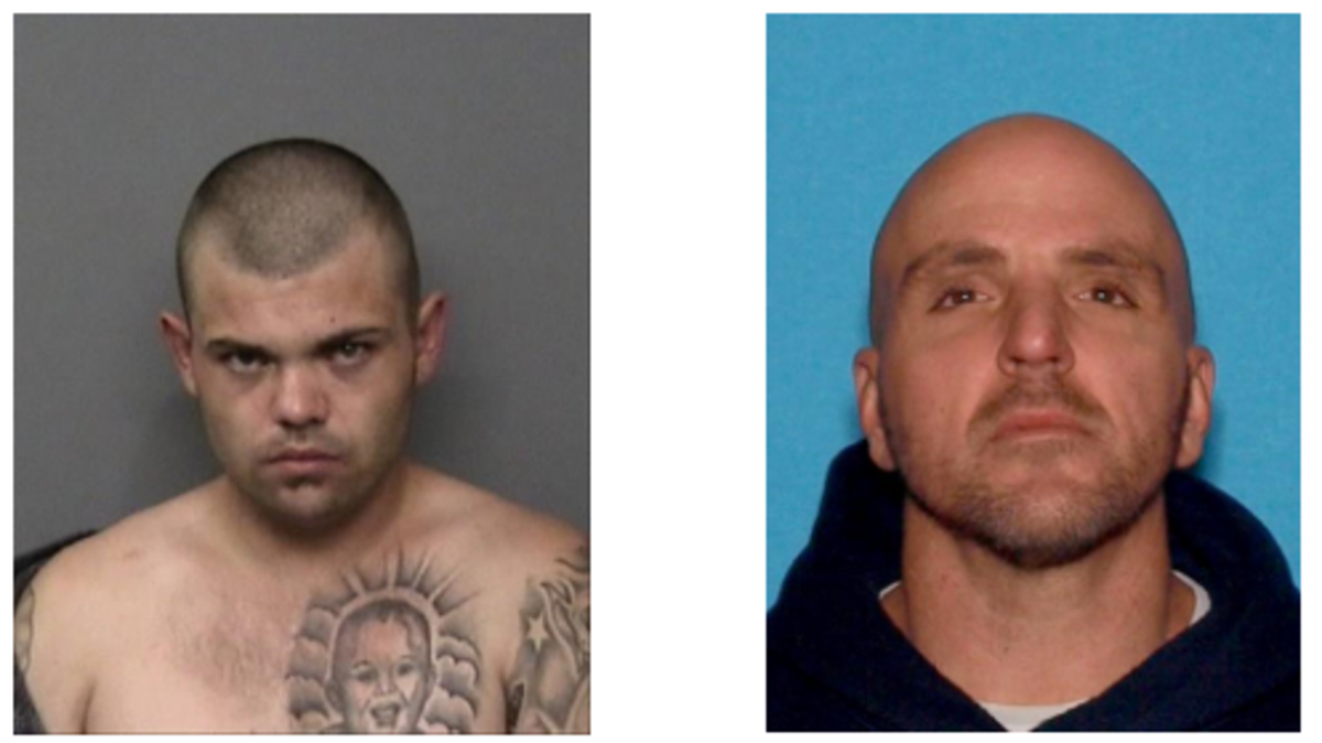 Redding police have arrested Benjamin Larson, right, in the June 6 theft of a van containing 14 show dogs. Authorities are searching for Billie Jo Patterson, left, in connection with the same incident.