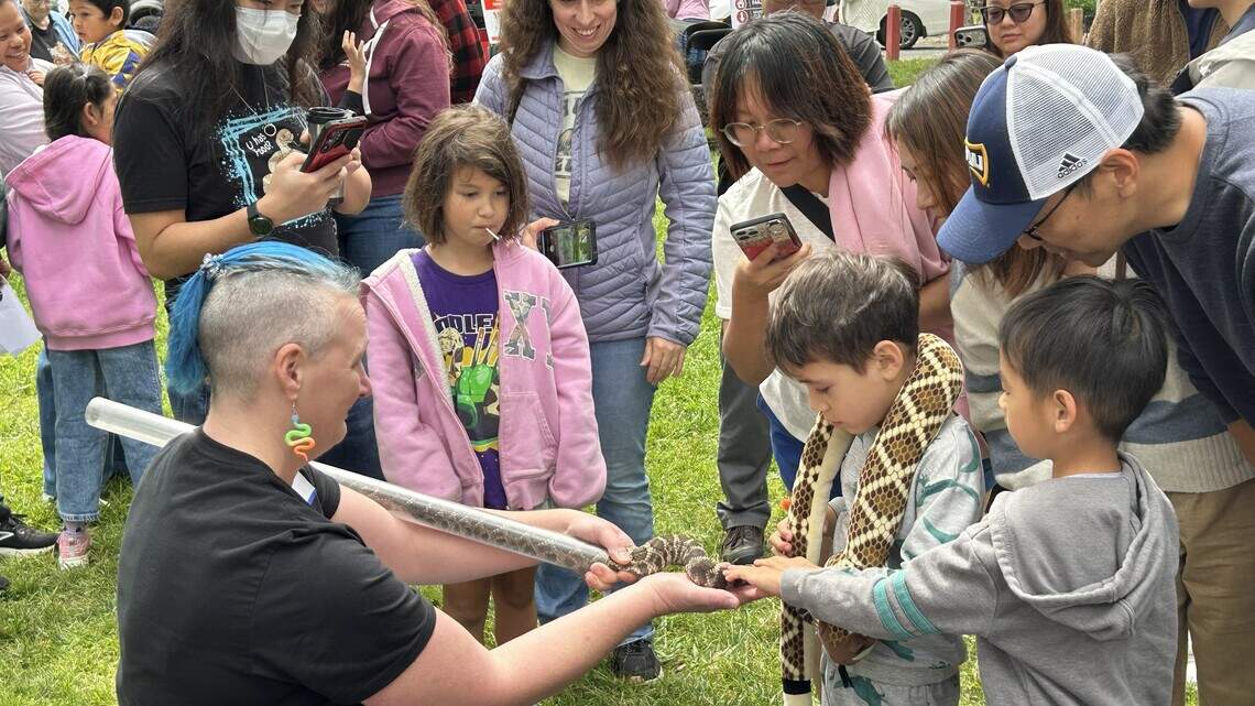 Sacramento’s Snake Festival teaches snake safety and appreciation of snakes