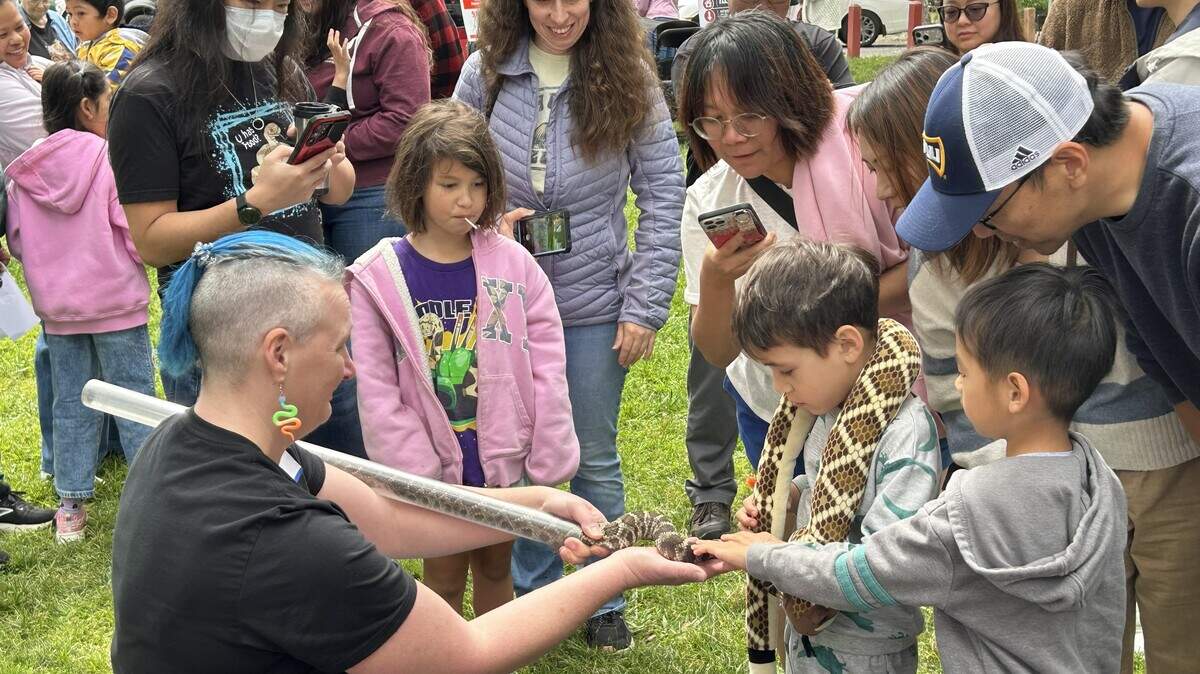 Sacramento’s Snake Festival teaches snake safety and appreciation of ...