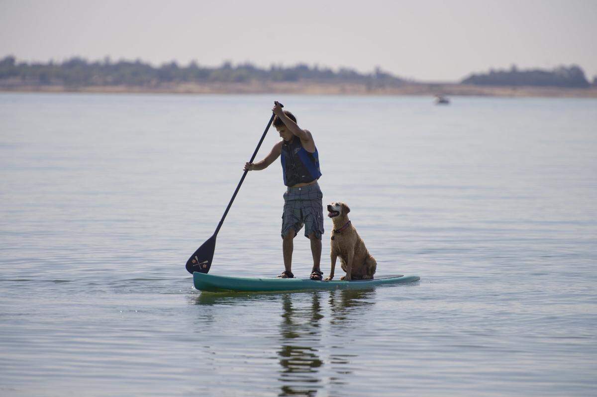 Alex LoRussa, 18, and his golden retriever Kalani ride a paddle board for the first time at Folsom Lake on July 31, 2014.