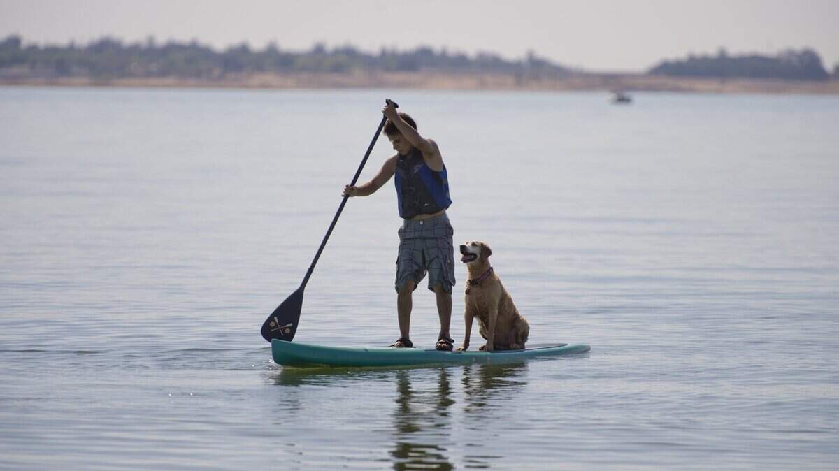 Alex LoRussa, 18, and his golden retriever Kalani ride a paddle board for the first time at Folsom Lake in 2014.