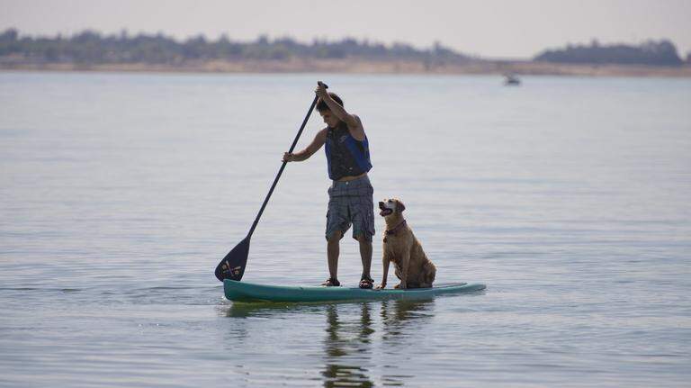Learning a water sport this summer? Classes, equipment rentals in Sacramento area